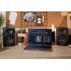 Monitores De Estudio Pioneer Con Bluetooth DM-50D-BT 50w 5" Pulgadas