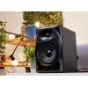 Monitores De Estudio Pioneer Con Bluetooth DM-50D-BT 50w 5" Pulgadas