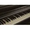 Piano con Mueble Casio Celviano AP-S450BN De 88 Teclas Color Marron