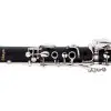 Clarinete Bb STAGG WSCL210S con Estuche