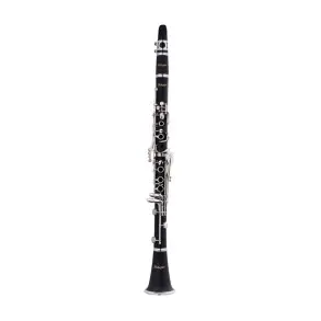 Clarinete Bb STAGG WSCL210S con Estuche