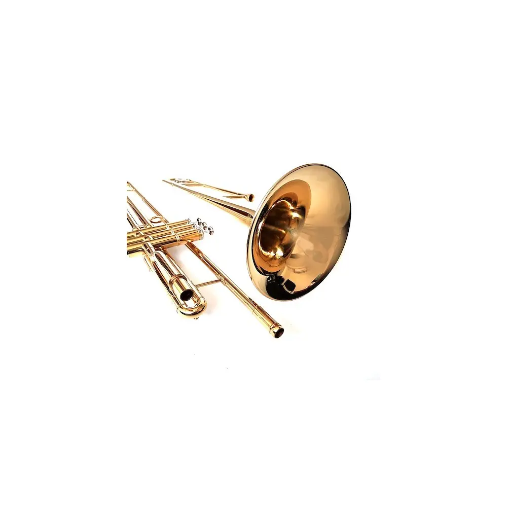 Trombon A Pinstones Lincoln Bb Con Estuche | Modelo Lwtp-1504