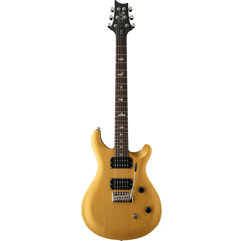 Guitarra Electrica Standard Satin con Funda Metallic Gold Satin