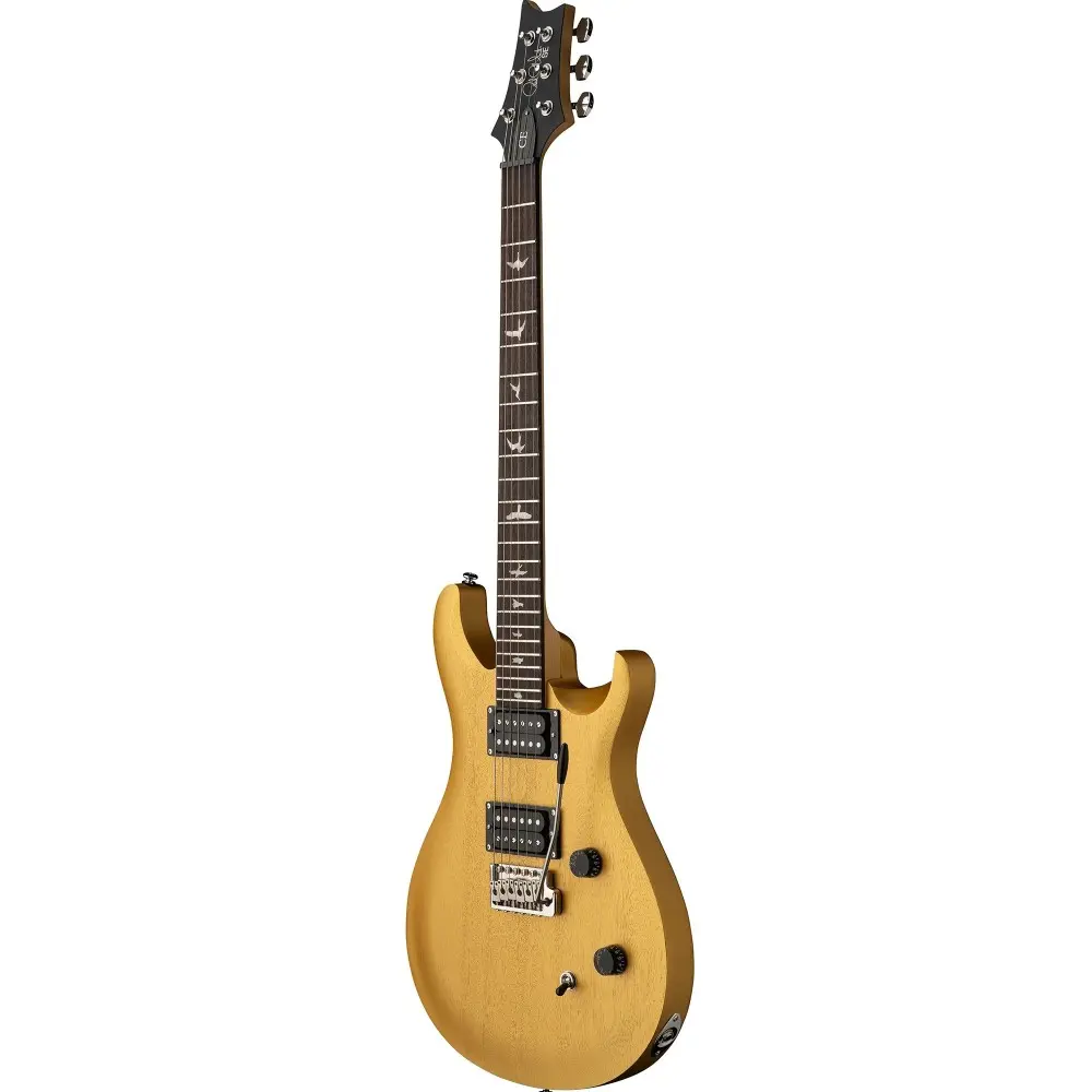 Guitarra Electrica Standard Satin con Funda Metallic Gold Satin