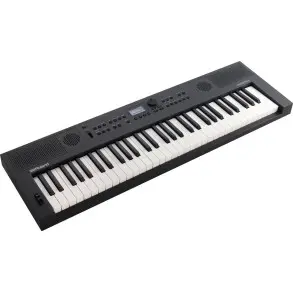 Sintetizador Teclado Roland GOKEYS5 GT 61 Teclas