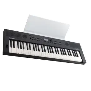 Sintetizador Teclado Roland GOKEYS5 GT 61 Teclas