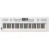 Sintetizador Teclado Roland GOKEYS5 WH