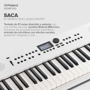 Sintetizador Teclado Roland GOKEYS5 WH 61 Teclas