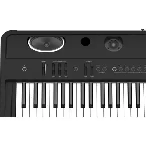 Piano Digital Roland FP90X BK 88 Teclas