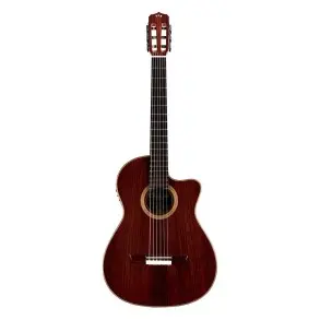 Guitarra Electroacustica Cordoba Fusion 12 Rose II