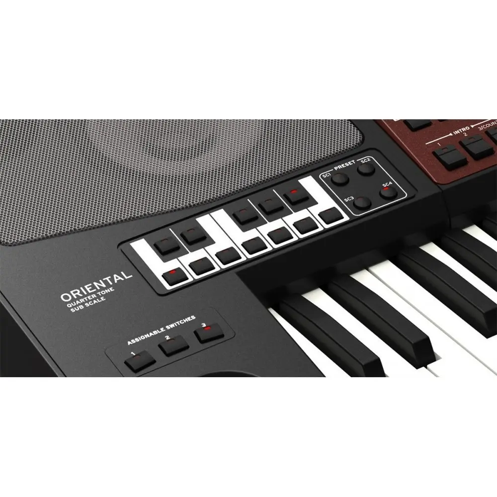 Teclado Arranger 61 Teclas KORG Pa700 Oriental