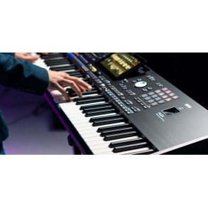 Teclado Arranger 61 Teclas Sampler KORG Pa5X 61
