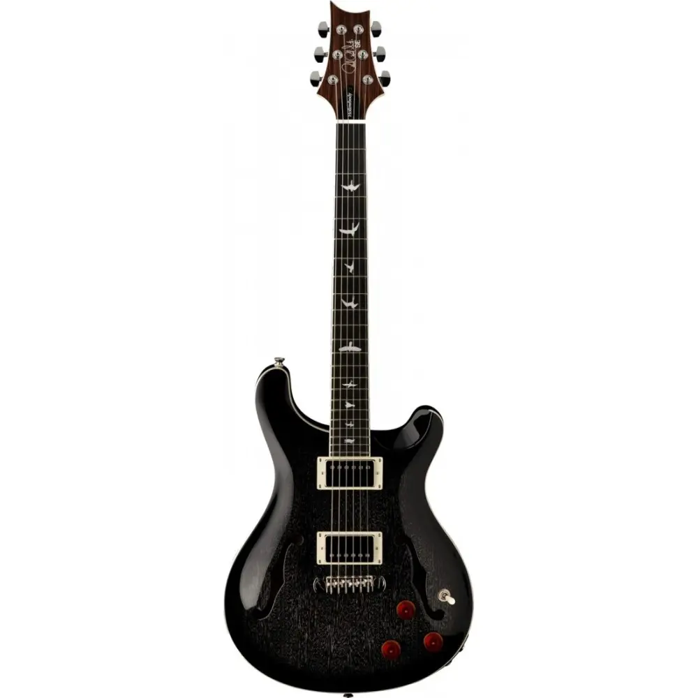 Guitarra Electrica SE Hollowbody con Funda Dog Hair Smokeburst PRS HBPEIB DH