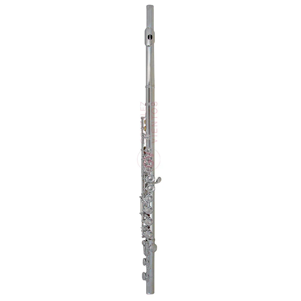 Flauta Traversa Lincoln Winds en C de Plata 16 Agujeros con Estuche.
