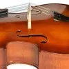 Contrabajo 3/4 Stradella MB6076 Pino Macizo