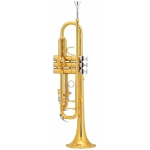 Trompeta Knight B + Estuche JBTR-400