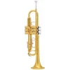 Trompeta Knight B + Estuche JBTR-400