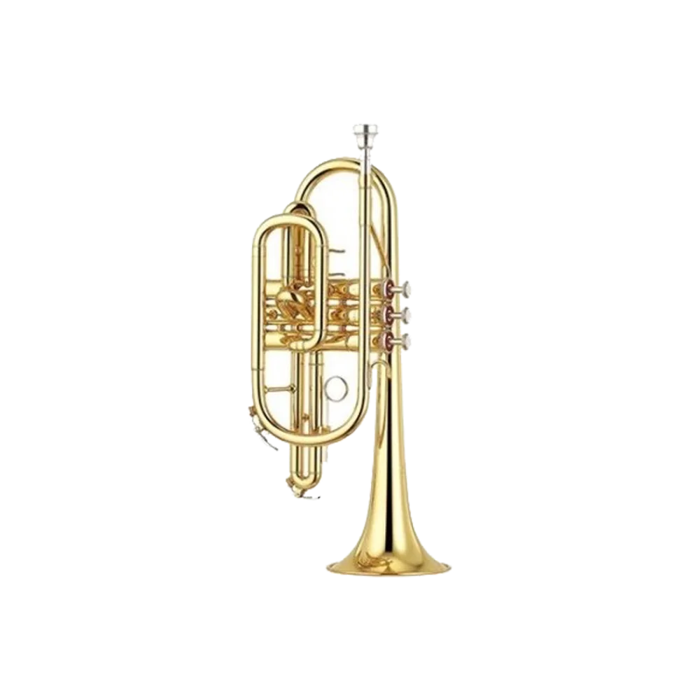 Corneta KNIGHT JBCR-900 Bb 3 Pistones Estuche de Madera