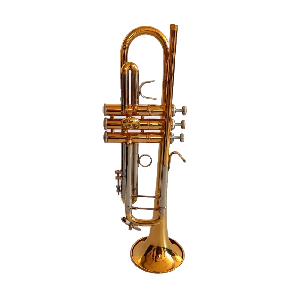Trompeta Lincoln Winds Deluxe Tono Bb Gold lacquer con Estuche Rigido