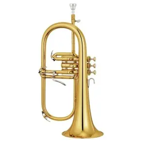 Fliscornio Soprano SELMER FH501DIR