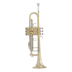Trompeta 37 Bach 180 Stradivarius 18037 En Sib