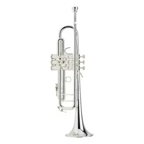 Trompeta Bach Stradivarius Sib 180s37 Plata Con Estuche