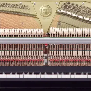Piano Vertical Yamaha U1JPE Serie U