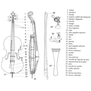 Cello 4/4 Stradella MC6012  Pino - Maple Macizo