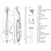 Cello 4/4 Stradella MC6012  Pino - Maple Macizo