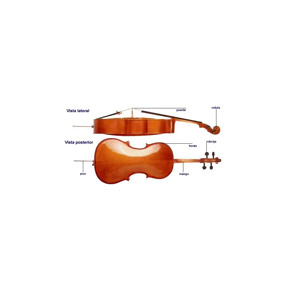 Cello 4/4 Stradella MC6012  Pino - Maple Macizo