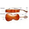 Cello 4/4 Stradella MC6012  Pino - Maple Macizo