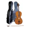 Cello Cremona 3/4 Tapa Pino Solido Chelo