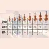 Violin De Estudio Completo Yirelly Estuche Arco Resina CV 101 1/4 DHP