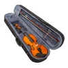 Violin Valencia 1/2 Incluye Estuche + Arco + Resina