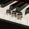 Piano Digital Nux 88 Teclas Pedalera Triple NCK-330
