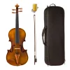Violin de Estudio Stradella 4/4 + Estuche y Accesorios
