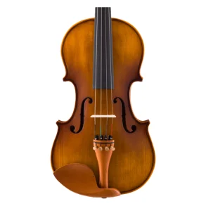 Violin de Estudio Stradella 4/4 + Estuche y Accesorios