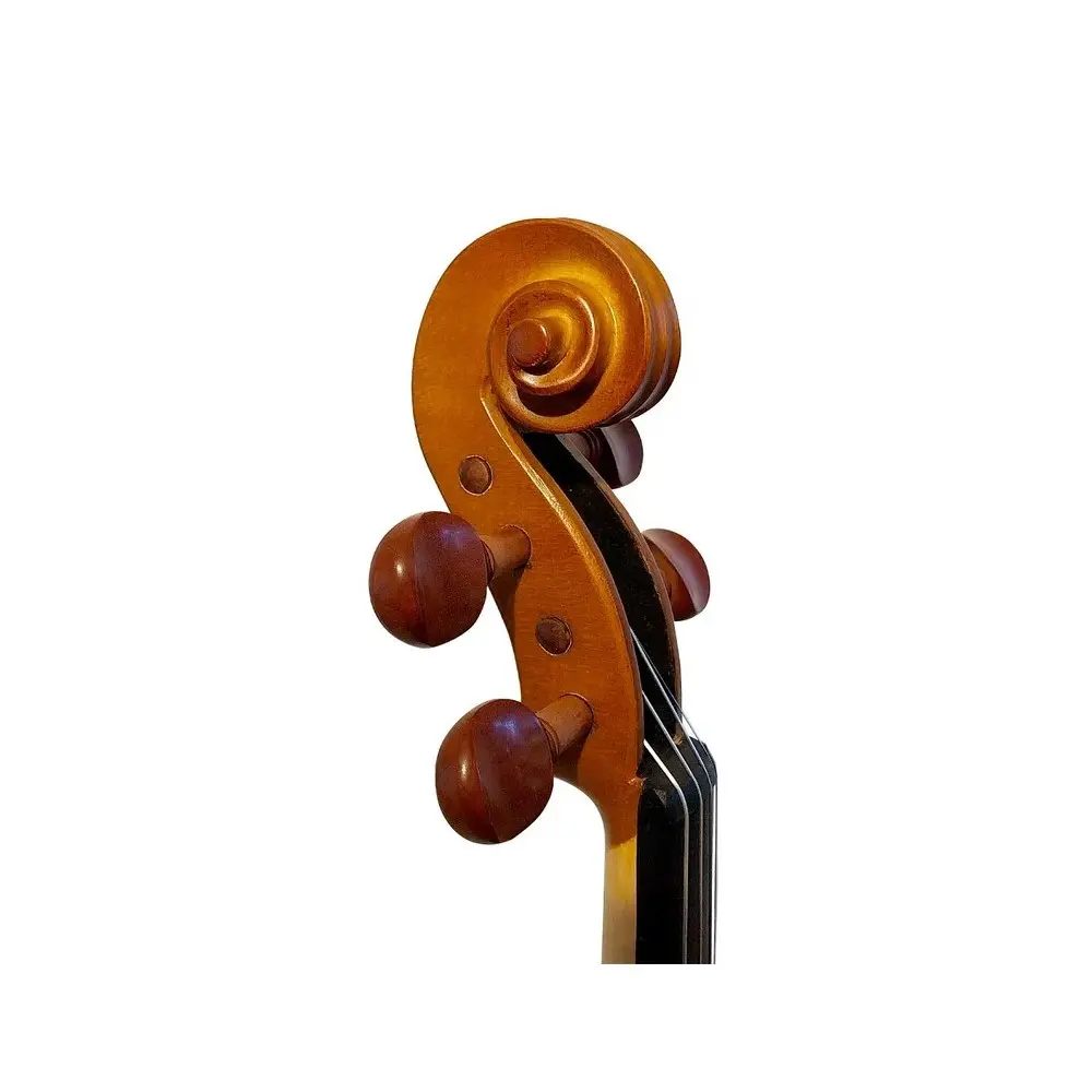 Violin de Estudio Stradella 4/4 Solido + Estuche Rigido y Accesorios