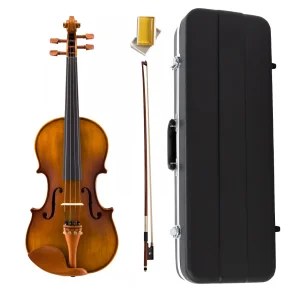Violin de Estudio Stradella 4/4 Solido + Estuche Rigido y Accesorios