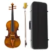 Violin de Estudio Stradella 4/4 Solido + Estuche Rigido y Accesorios