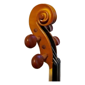 Violin de Estudio Stradella 4/4 + Estuche y Accesorios