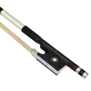 Violin Profesional 4/4 Maple Flameado con Encordado Daddario y Estuche Deluxe