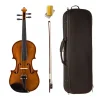 Violin Profesional Stradella 4/4 MV1419 Estuche con Higrometro
