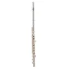 Flauta Traversa con Estuche Rigido KNIGHT JBFL-6248S