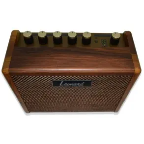 Amplificador Guitarra Acustica con Bluetooth 15W Leonard 15LNDGV