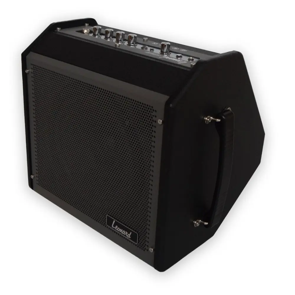 Amplificador Bateria Teclado Bajo con Bluetooth Leonard 30W 35LNDMP
