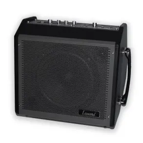 Amplificador Bateria Teclado Bajo con Bluetooth Leonard 30W 35LNDMP