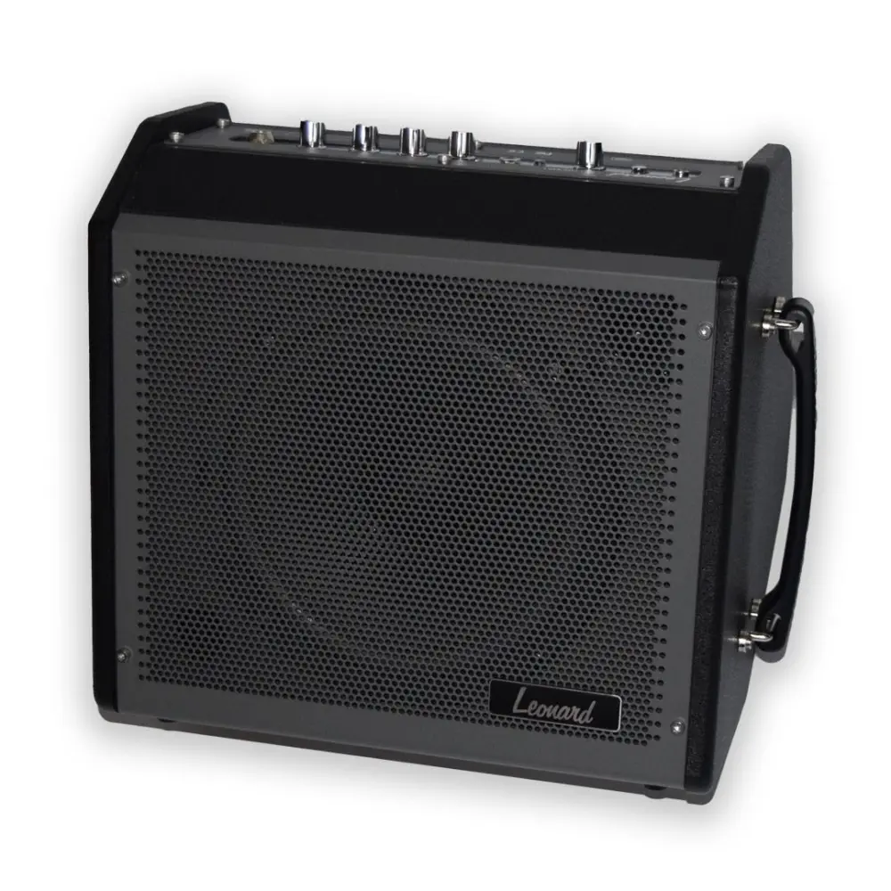 Amplificador Bateria Teclado Bajo con Bluetooth Leonard 30W 35LNDMP