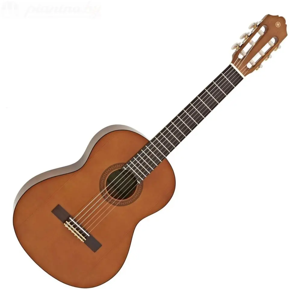 Guitarra Clasica Yamaha CGS102A