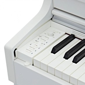 Piano Digital Casio AP470 CELVIANO 88 Teclas De Marfil Acción Martillo USB Color Blanco